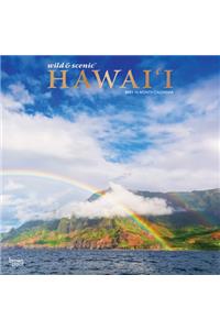 Hawaii Wild & Scenic 2021 Square Foil