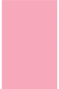 Pale Pink 101 - Narrow Lined Notebook with Margins - 5X8