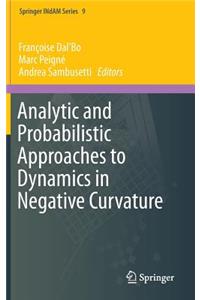 Analytic and Probabilistic Approaches to Dynamics in Negative Curvature