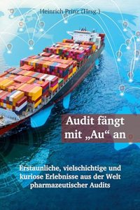Audit fangt mit 