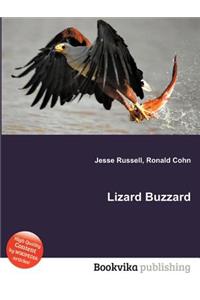 Lizard Buzzard