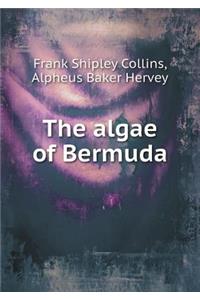 The Algae of Bermuda