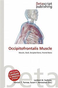 Occipitofrontalis Muscle
