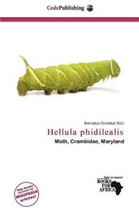 Hellula Phidilealis