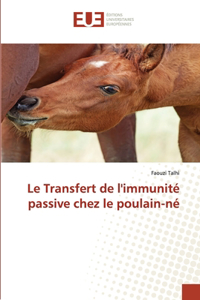 Transfert de l'immunité passive chez le poulain-né