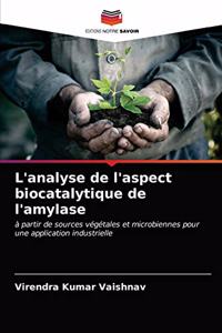 L'analyse de l'aspect biocatalytique de l'amylase