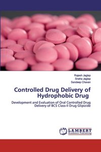 Controlled Drug Delivery of Hydrophobic Drug