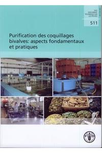 Purification Des Coquillages Bivalves
