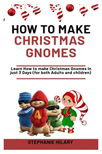 How To Make Christmas Gnomes