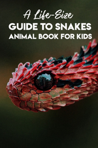 A Life-size Guide To Snakes Animal Book For Kids