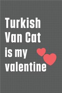 Turkish Van Cat is my valentine