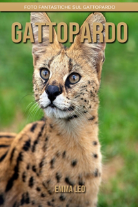 Gattopardo