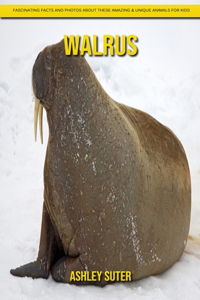 Walrus