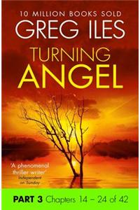 Turning Angel: Part 3, Chapters 14 to 24