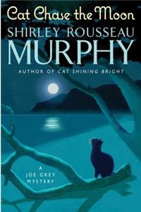 Cat Chase the Moon