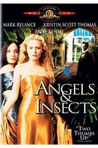 Angels and Insects
