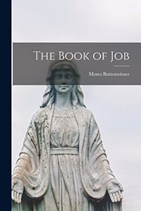 Book of Job [microform]