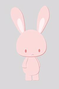 RABBIT Composition Notebook