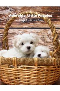 Adorable Little Puppies Full-Color Picture Book