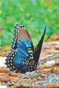 Blue Butterfly Pretty Blank Lined Journal for daily thoughts notebook Lovely Lake Arrowhead Photograph