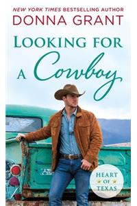 Looking for a Cowboy