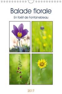 Balade Florale En Foret De Fontainebleau 2017