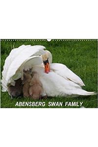 Abensberg Swan Family 2018