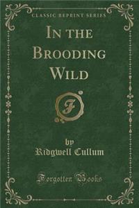 In the Brooding Wild (Classic Reprint)