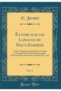 Ã?tudes Sur Les Langues Du Haut-ZambÃ¨ze, Vol. 1: Textes Originaux, Recueillis Et Traduits En FranÃ§ais Et PrÃ©cÃ©dÃ©s d'Une Esquisse Grammaticale; Grammaires Soubiya Et Louyi (Classic Reprint)