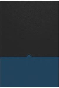 Charles F. Stanley Life Principles Bible-NKJV