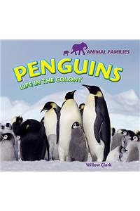Penguins