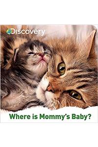 Discovery Where Is Mommys Baby?