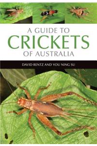 A Guide to Crickets of Australia