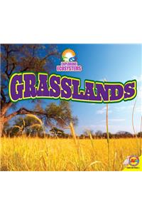 Grasslands