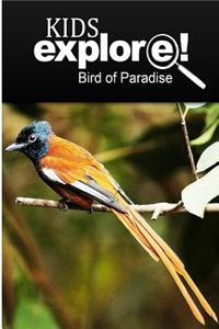 Birds Of Paradise - Kids Explore