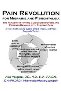 Pain Revolution for Migraine and Fibromyalgia (Discounted Printing): The Paradigm-Shifting Guide for Doctors and Patients Dealing with Chronic Pain