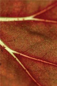 Autumn Leaf Veins Journal