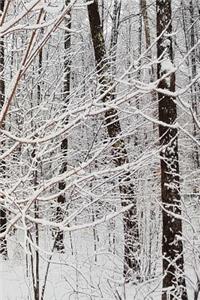 Winter Season Journal Woods