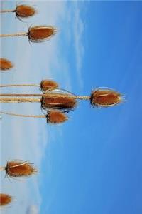 Thistle and Blue Skies Journal