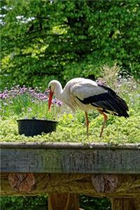 Stork and Wildflowers Journal