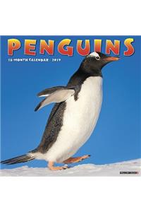 Penguins 2019 Wall Calendar