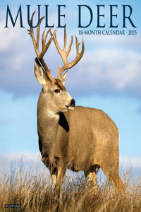 Mule Deer 2026 12 X 12 Wall Calendar