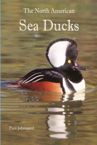 North American Sea Ducks