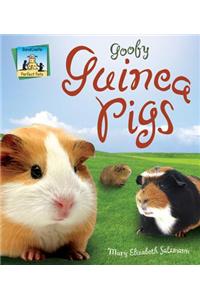Goofy Guinea Pigs