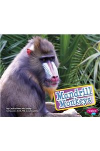 Mandrill Monkeys