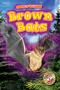 Brown Bats