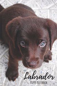 Labrador Puppy Notebook