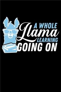 A Whole Llama Learning Going on