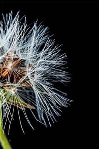 Dandelion Notebook