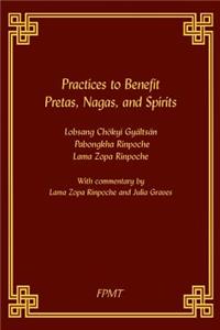 Practices to Benefit Pretas, Nagas and Spirits